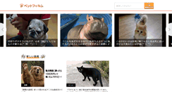 Desktop Screenshot of petfilm.biz